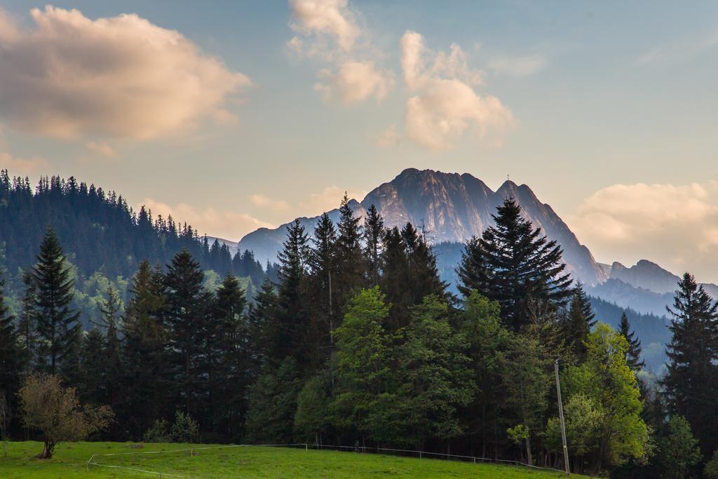 Willa Stachoniowka 2 Zakopane Exteriör bild