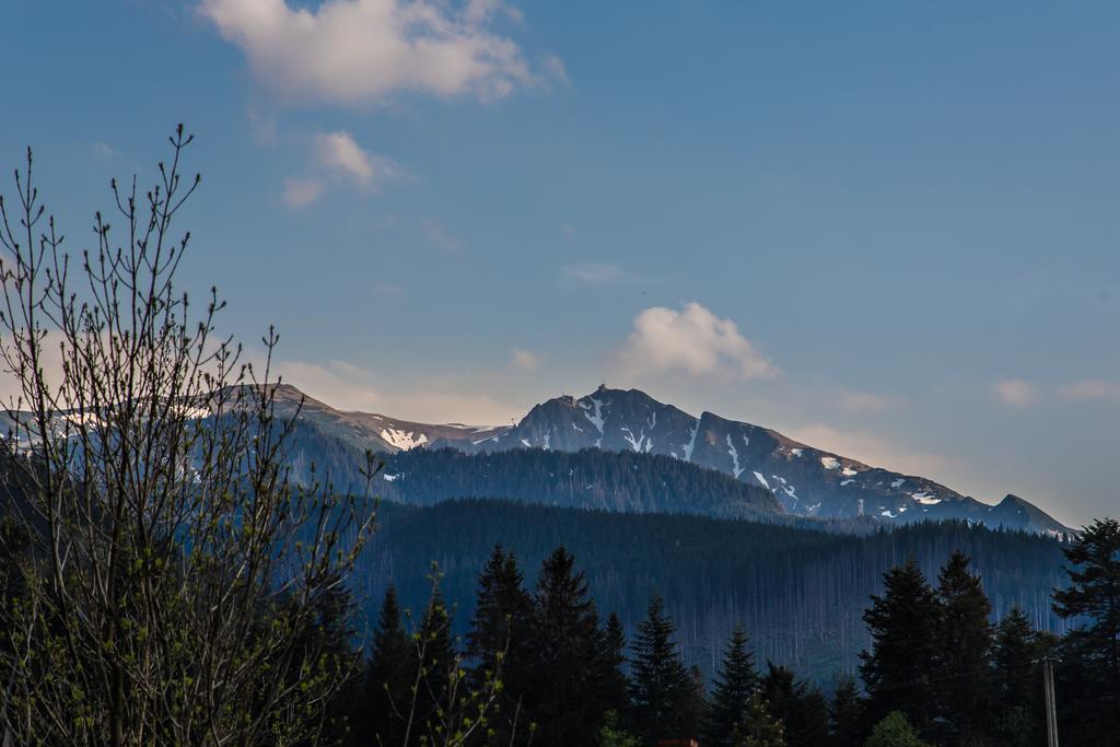 Willa Stachoniowka 2 Zakopane Exteriör bild